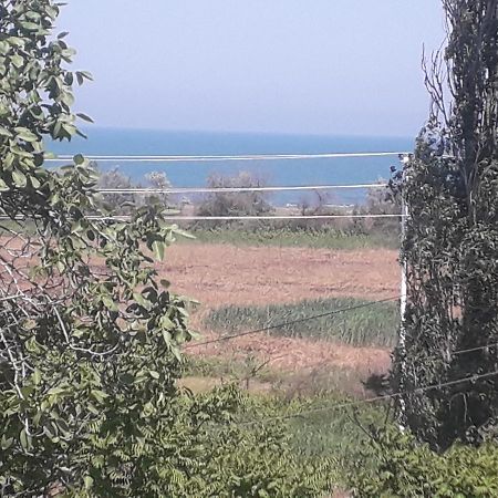 Rey 2 Bed and Breakfast Nabran Buitenkant foto