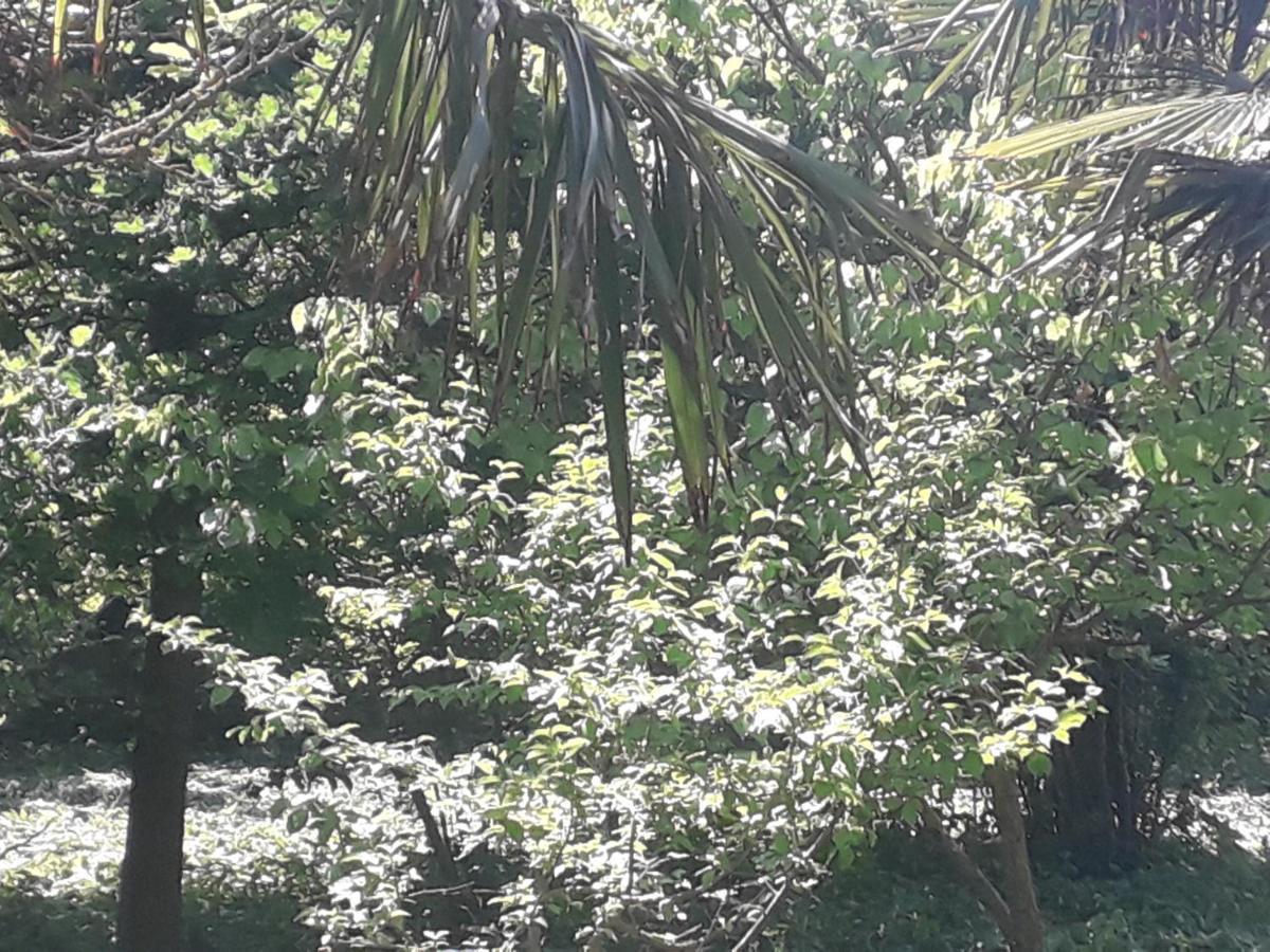 Rey 2 Bed and Breakfast Nabran Buitenkant foto