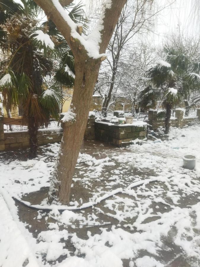 Rey 2 Bed and Breakfast Nabran Buitenkant foto